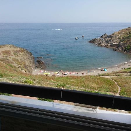 Portvendres Sea view Leilighet Port Vendres Eksteriør bilde