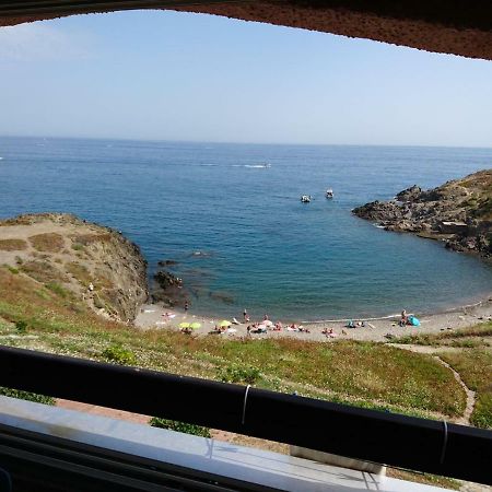 Portvendres Sea view Leilighet Port Vendres Eksteriør bilde