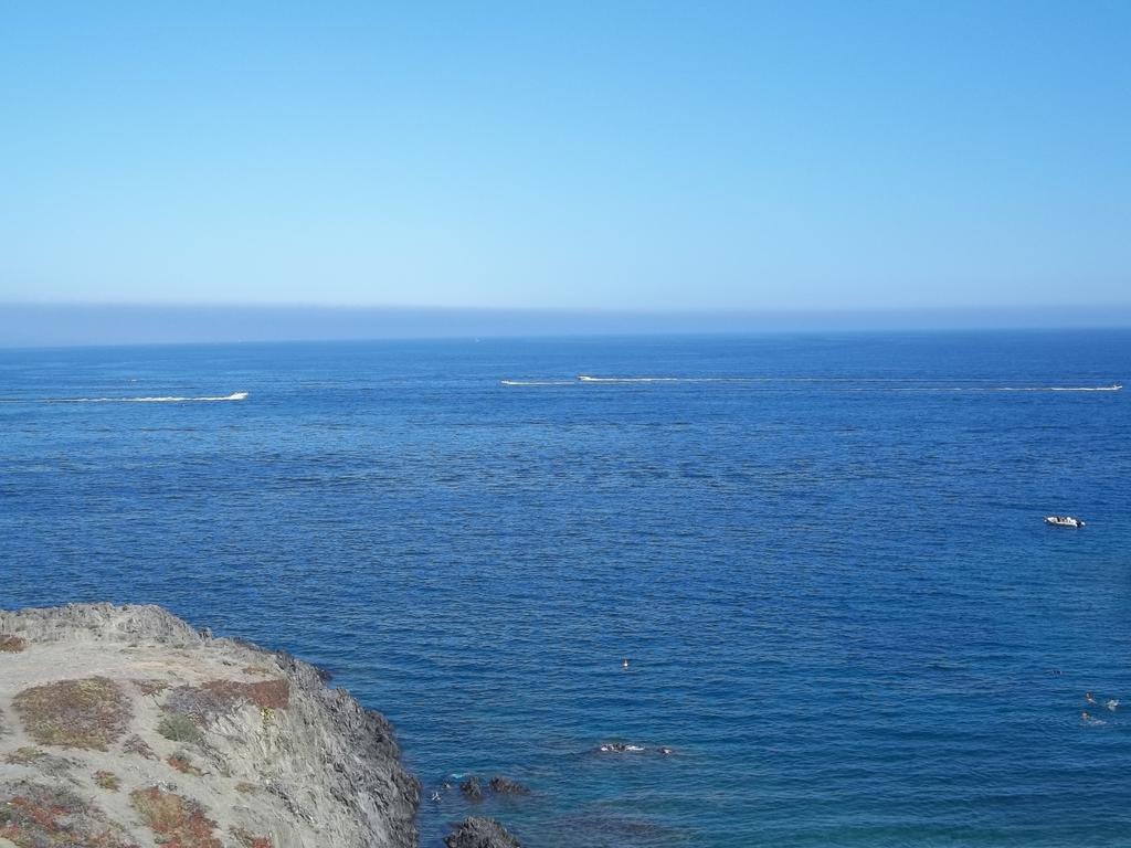Portvendres Sea view Leilighet Port Vendres Eksteriør bilde