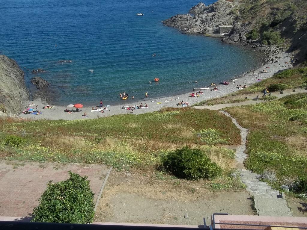 Portvendres Sea view Leilighet Port Vendres Eksteriør bilde