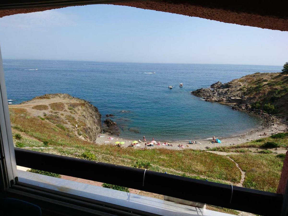 Portvendres Sea view Leilighet Port Vendres Eksteriør bilde